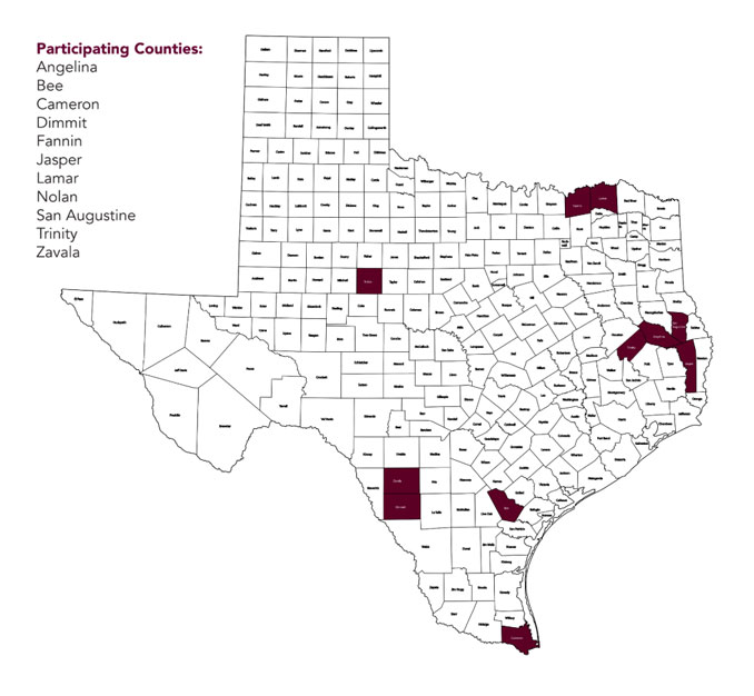 participating-texas-counties